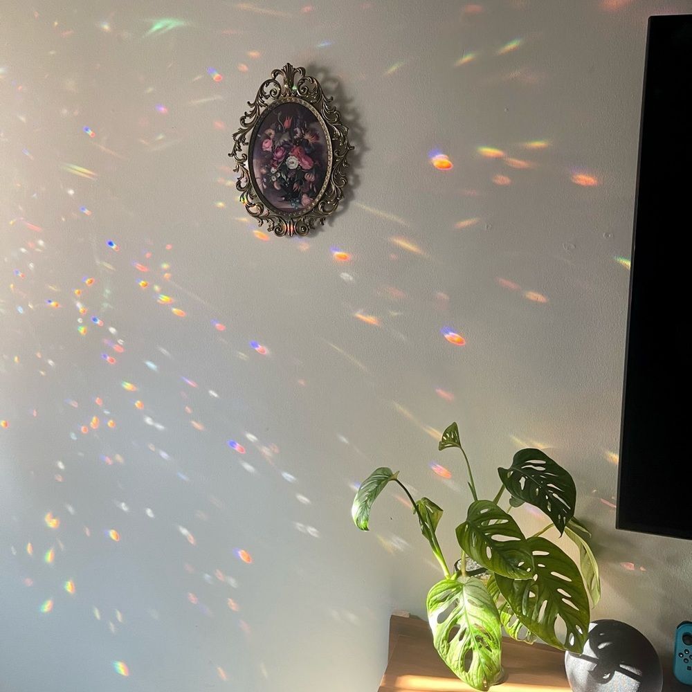 Numero Black Jean Shorts - Size 26 - M107